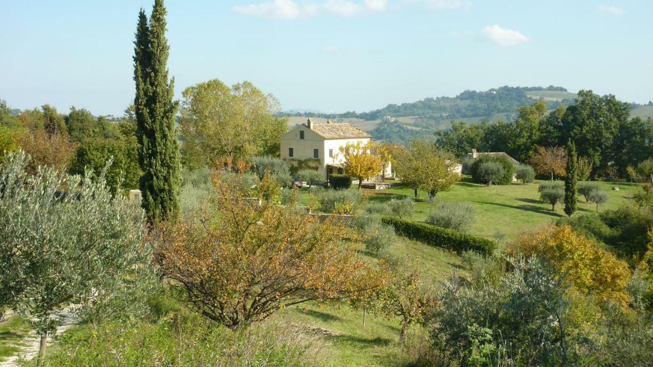 Casale Oliva In A Landscape Of Oaks, Olive E Cherry Trees Santa Vittoria in Matenano Exterior foto